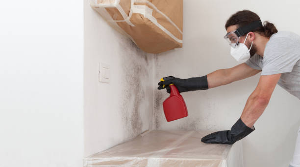 Professional Commercial Mold Remediation technician working in Wimauma, FL
