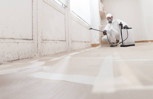 24/7 Emergency Commercial Mold Remediation experts in Wimauma, FL